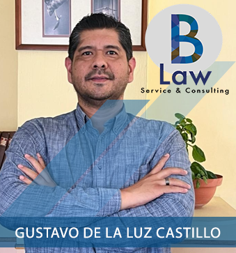 Gustavo De La Luz Castillo